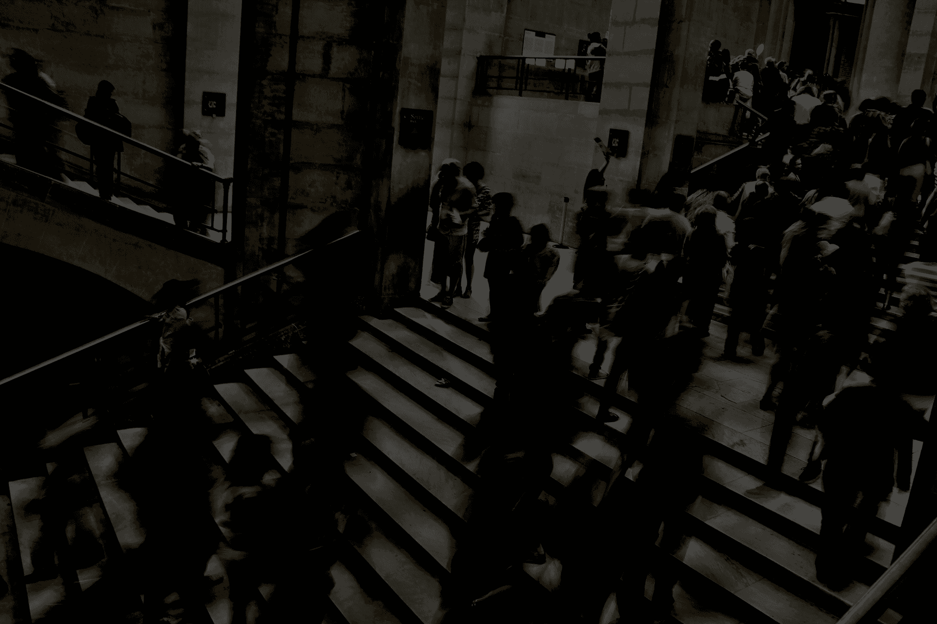 Cloud-Dog Chat Client